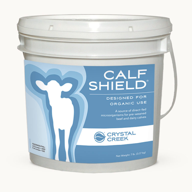 Pail of Calf Shield