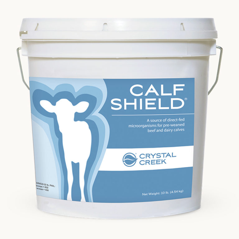 Pail of Calf Shield