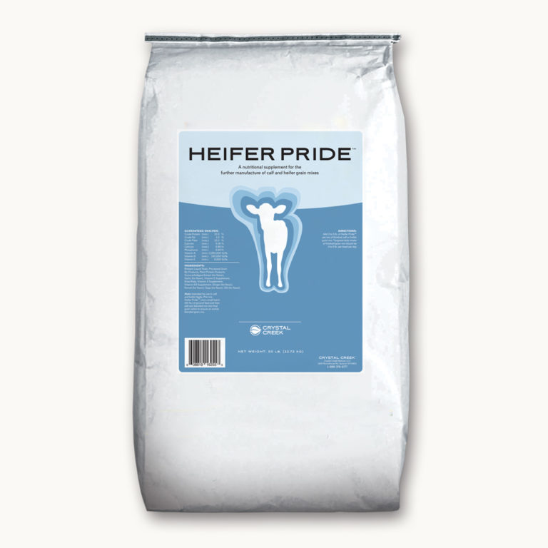 Heifer Pride