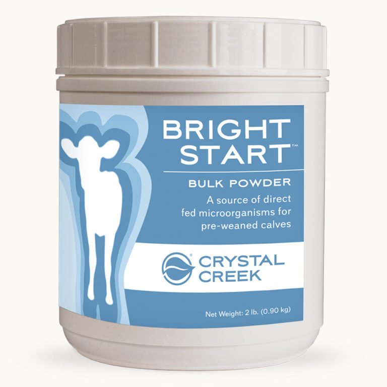Bright Start Bulk Powder