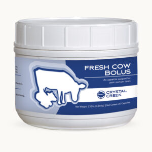 Fresh Cow Bolus