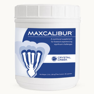 Maxcalibur™