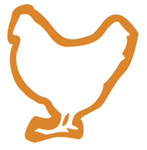 Chicken Graphic