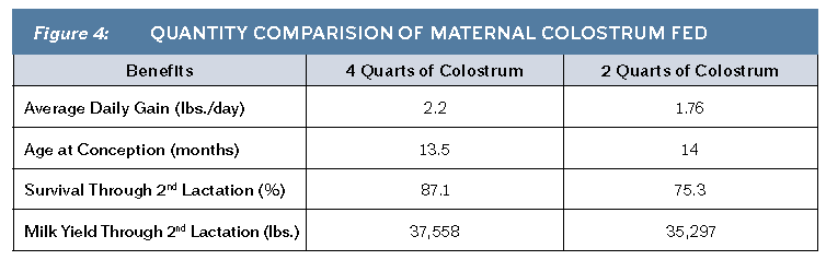 Figure 4 Quantity Comparison Of Maternal Colostrum Fed