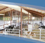 Calf barn with ventilation