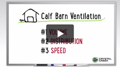 Calf Barn Ventilation 101