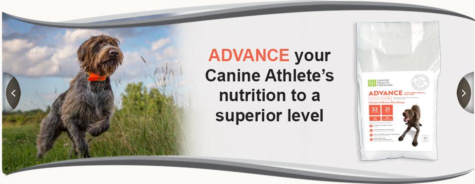 Advance your canine athlete's nutrition to a superior level