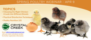 Poultry Webinar Chick Selection