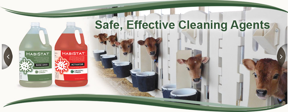 20220929-Banner-Disinfectants-SafeEffective