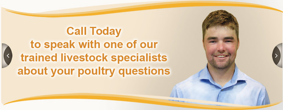 20220929-Banner-Poultry-CallToday