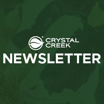 Crystal Creek Newsletter