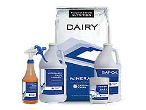 Dairy Products Collage