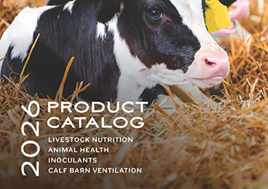 Crystal Creek 2026 Catalog Cover